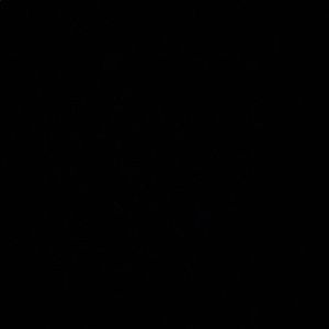 Meet your Posher, Dariana